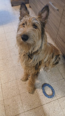 Vito
